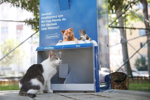 Konak Belediyesi'nden can dostlara MamaMatik hizmeti!