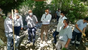 Başkan Selvitopu Kavacık'taki çalışmaları denetledi  