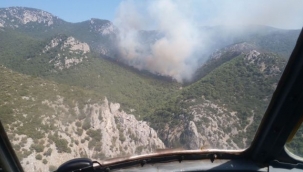 Bornova'da yangın! Havadan müdahale devam ediyor