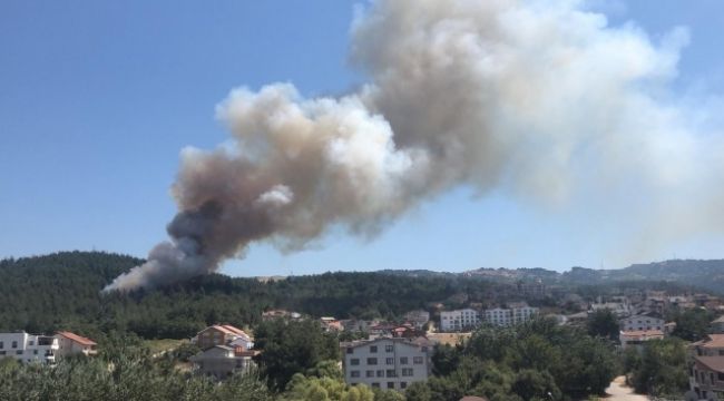 Bursa'da orman yangını: Müdahale sürüyor