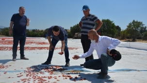 CHP'li Polat: Çiftçi ne kadar zarar edeceğini hesaplıyor!