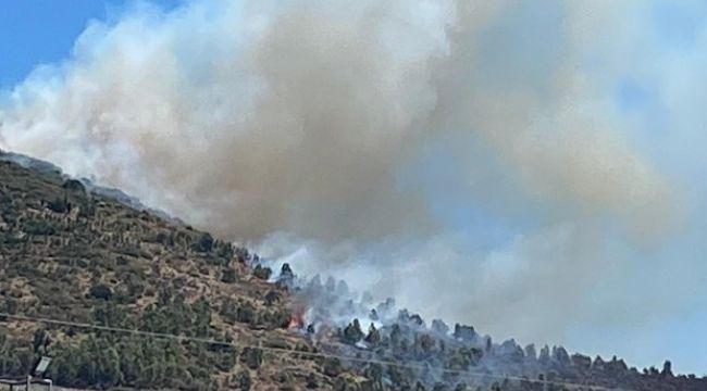 İzmir Bayraklı'da bir orman yangını daha! Müdahaleler sürüyor