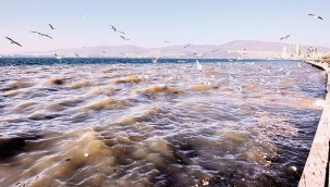 İzmir'deki kötü kokuya İZSU'dan açıklama geldi: Kaçak deşarj ihtimali!