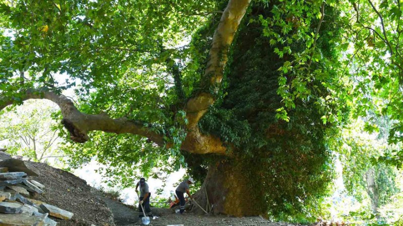Kavacık'ın saklı cenneti gün yüzüne çıkıyor