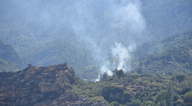 Kemalpaşa'da orman yangını kontrol altına alındı!