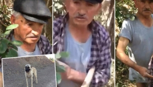 Köpeğe tecavüz ederken yakalandı!