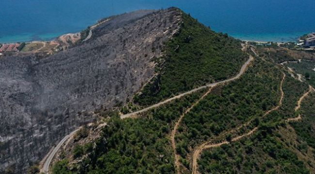 Menderes'te çıkan yangının bilançosu ağır oldu!