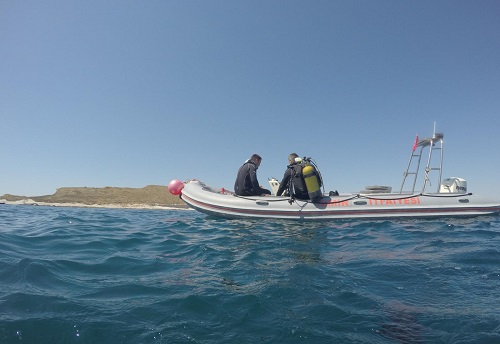 İzmir İtfaiyesi’nin dalgıçları Foça'da Sarp'ı arıyor