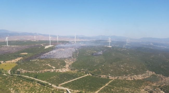 Seferihisar'da çıkan yangın kontrol altına alındı