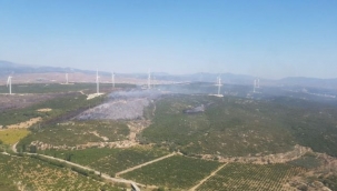 Seferihisar'da çıkan yangın kontrol altına alındı