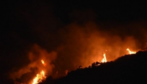 Urla'da otluk alanda çıkan yangın kontrol altında