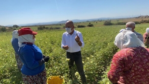 Bergamalı çiftçilerin 'su' isyanı... CHP'li Polat: Çiftçiye su yok, yandaşa var!