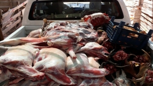 Buca’da belediyeden kaçak et operasyonu!