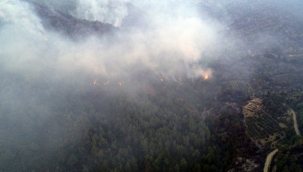 Hatay cayır cayır yanıyor!