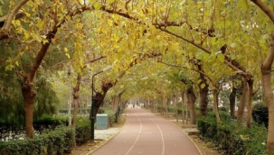 İzmir'de sıcaklık düşüyor, yağışlar başlıyor!