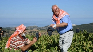 Kavacık Üzüm Festivali bağbozumuyla yaşatıldı