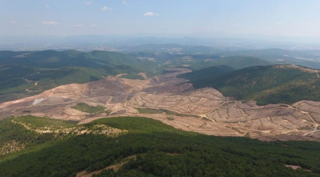"Kazdağları'nda 3.5 milyon ağaç kesilecek"