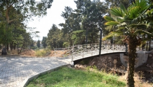 Kudurgan Deresi çiçek gibi oldu!