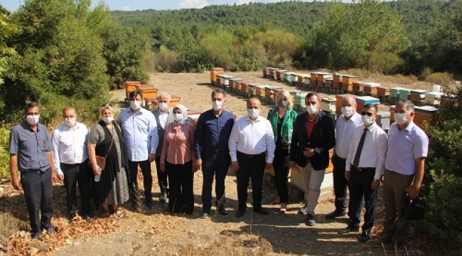Milletvekili Bekle'den kadın istihdamına destek: Bin kovan hibe edilecek!