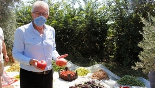 Ödemiş Belediyesi ata tohumlarına sahip çıkıyor 