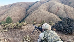 'Yıldırım-9 Şenyayla Operasyonu' başlatıldı