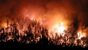 2020’de ciğerlerimiz yandı: 12 bin 806 hektar zarar gördü!