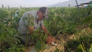 68 yaşında aldığı kurs hayatını değiştirdi, şimdi dünya ülkelerine pazarlıyor