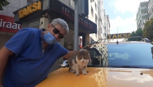 Alsancak'ın sevimli maskotu: Taksici Boncuk 