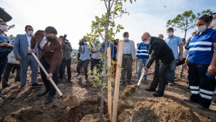 Artık İzmirli muhtarların da dikili bir ağacı var!