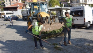 Bozköy Mahallesi’nde Hummalı Çalışma