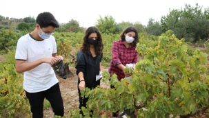 Buca’nın tarımı gençlere emanet