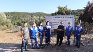 Can dostlar için hayırseverlere güneş enerjisi çağrısı