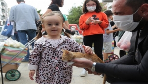 Gaziemir'de can dostlara yeni yuva