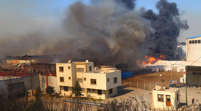 Hatay'da büyük panik! Yangın evlere sıçradı