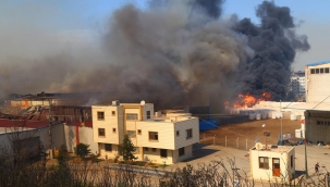 Hatay'da büyük panik! Yangın evlere sıçradı