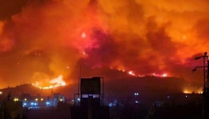 Hatay'daki yangın bölgesinde maden projesi yapılacak!