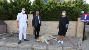 Hayvan dostu Gündüz çiftine Başkandan ‘İnce’ ziyaret