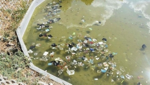 İzmir'in gözdesi Yedigöller viraneye döndü!