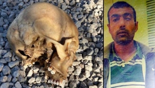 Kafatası köpeğin ağzında bulundu: Kimliği belli oldu