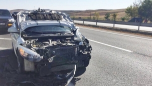 Köpeğe çarpan otomobil hurdalık oldu