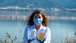 Körfezde arıtma meyve verdi: Su altında da yaşam gelişiyor!