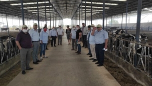 Süt için süte değer