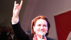 Meral Akşener'in bozkurtlu pozuna tepki