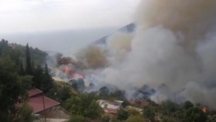 Mersin'de orman yangını 