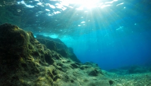 Okyanuslar alarm veriyor: Afetler artabilir