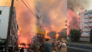 Türkiye'de birçok ilde orman yangını! 