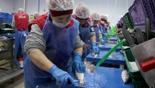  1 milyon kadın daha işsiz kaldı