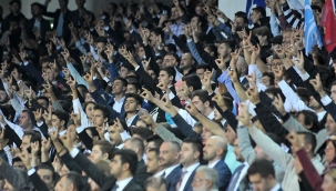 Almanya'dan sonra Hollanda: Ülkücüler yasaklansın