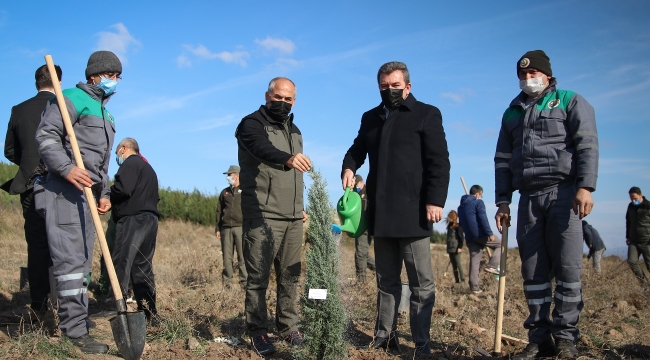 Bergama'da fidan dikim bayramı