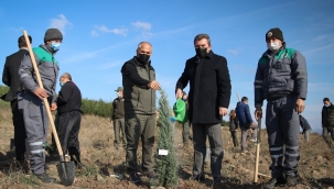 Bergama’da fidan dikim bayramı